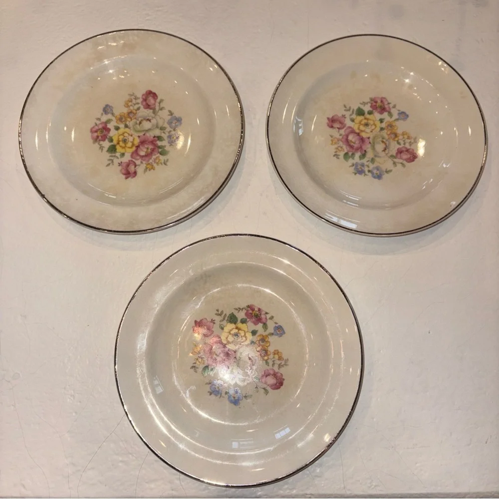 Vintage Salem by Century Floral appetizer plates platinum‎ detail